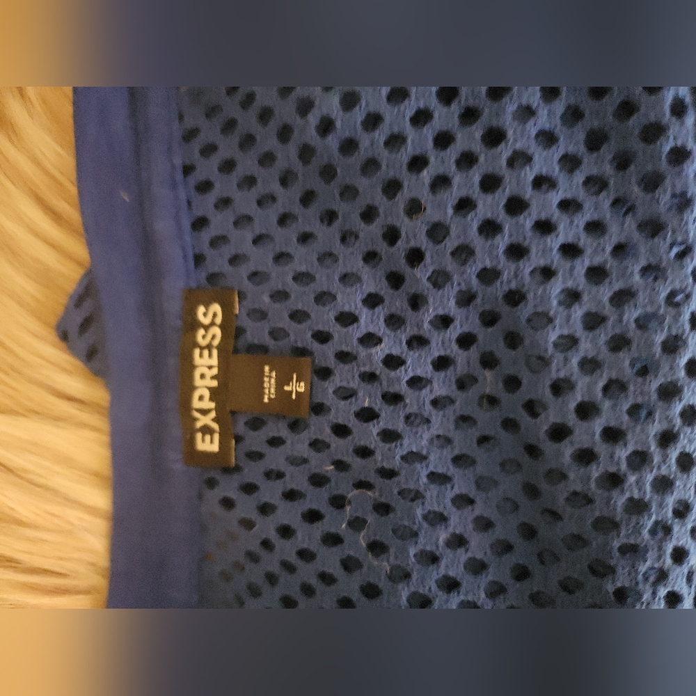 Express Royal Blue Mesh Top - Picture 3 of 3